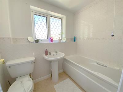 Picture 20